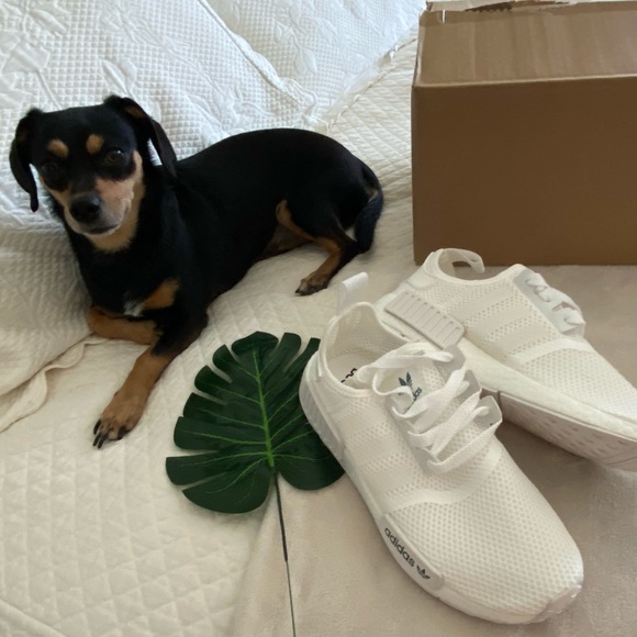 Welcome! - Picture 5 of 7